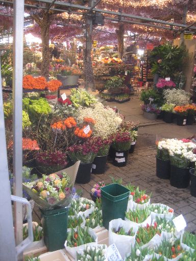 Flowers at the flower market