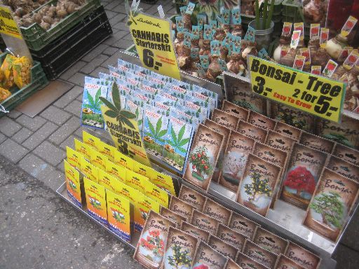 Cannabis starter kits at the flower market