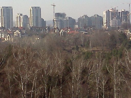 High-rises seen from the botanical garden